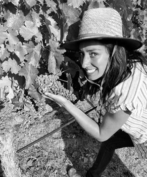 Winemaker, Justine Labbe